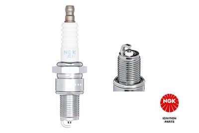 Spark Plug NGK 4534