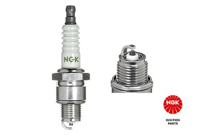 Spark Plug NGK 4838
