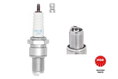 Spark Plug NGK 4922