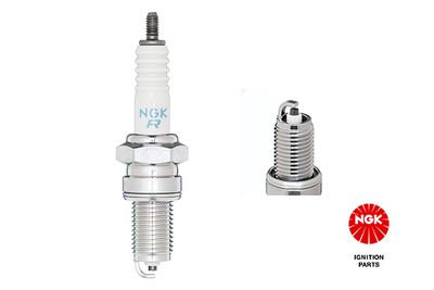 Spark Plug NGK 5531
