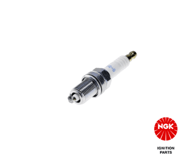 Spark Plug NGK 5648