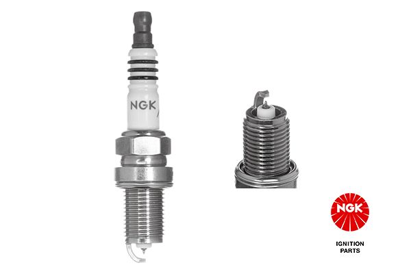 NGK 5691 Spark Plug