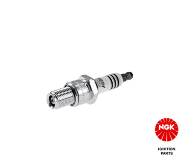 Spark Plug NGK 6014