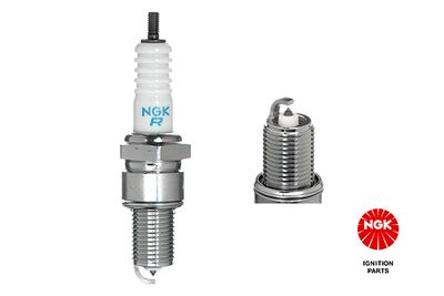 Spark Plug NGK 6248