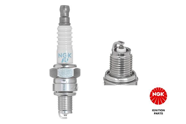 NGK 6500 Spark Plug