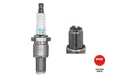 Spark Plug NGK 6700