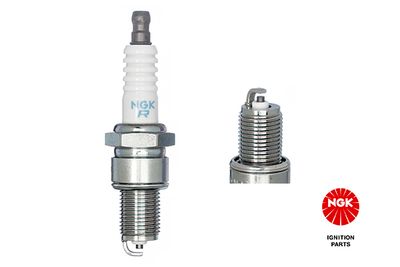 Spark Plug NGK 7031