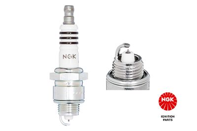 Spark Plug NGK 7189