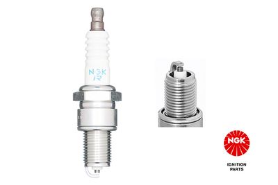 Spark Plug NGK 7226