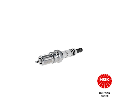 Spark Plug NGK 7300