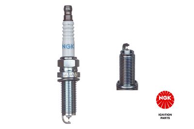 Spark Plug NGK 95029