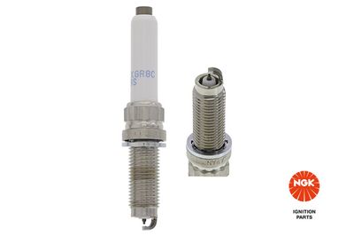 Spark Plug NGK 95248