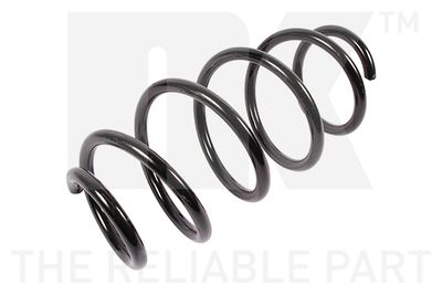 Suspension Spring NK 532368