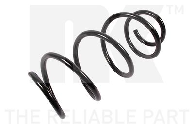 Suspension Spring NK 533517