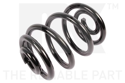 Suspension Spring NK 541551