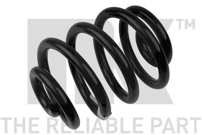 Suspension Spring NK 542540
