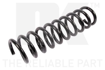 Suspension Spring NK 543424