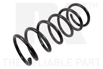 Suspension Spring NK 544827