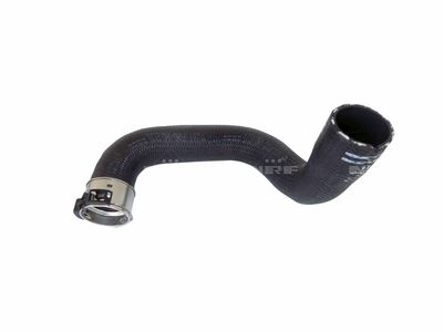 Charge Air Hose NRF 166111