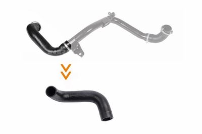 Charge Air Hose NRF 166204