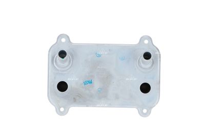 Oil Cooler, engine oil NRF 31288