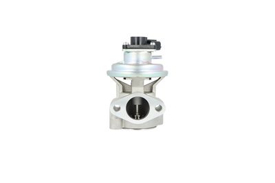 EGR Valve NRF 48711