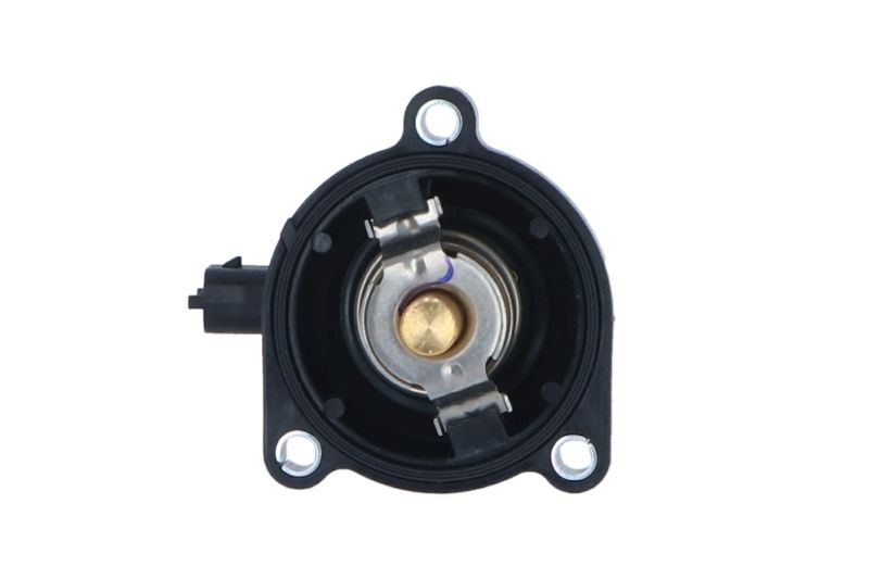 NRF 725024 Thermostat, coolant