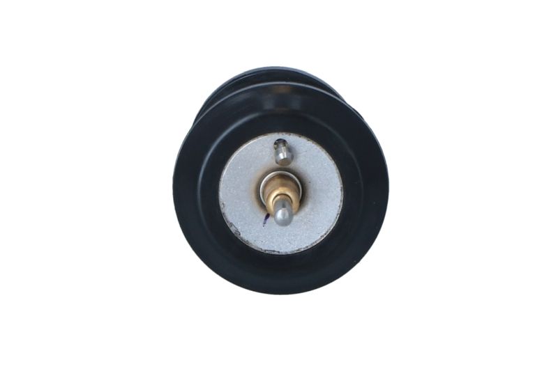 NRF 725250 Thermostat, coolant