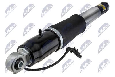 Air Suspension Strut NTY A-CH-010