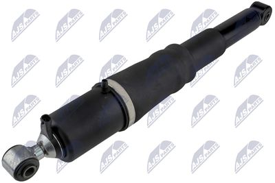 Air Suspension Strut NTY A-CH-013