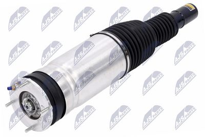 Air Suspension Strut NTY A-LR-023