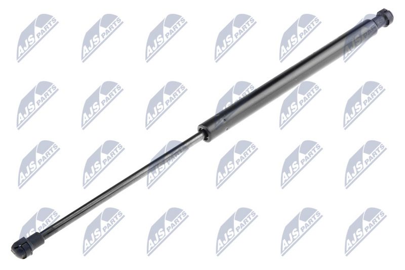 NTY AE-AR-006 Gas Spring, bonnet