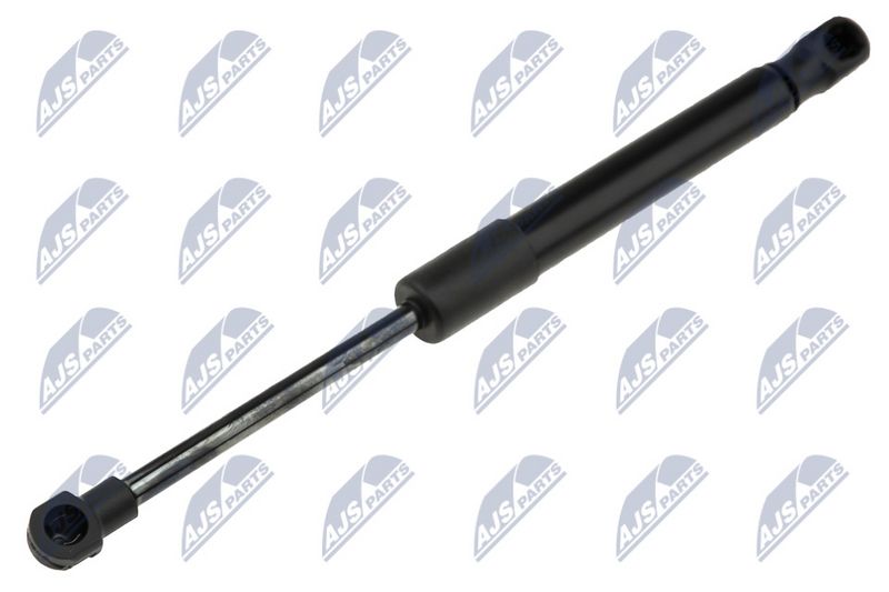 NTY AE-AR-024 Gas Spring, bonnet