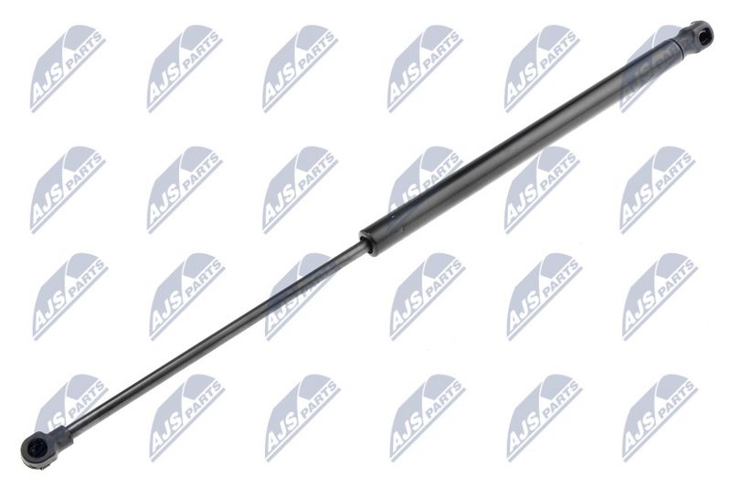 NTY AE-AU-005 Gas Spring, boot/cargo area
