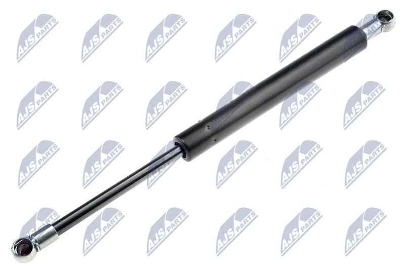 NTY AE-AU-007 Gas Spring, boot/cargo area