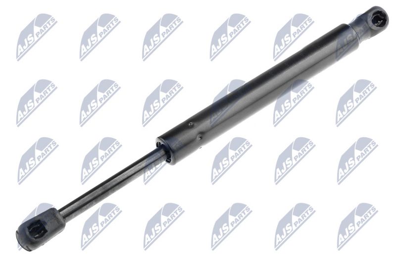 NTY AE-AU-060 Gas Spring, boot/cargo area