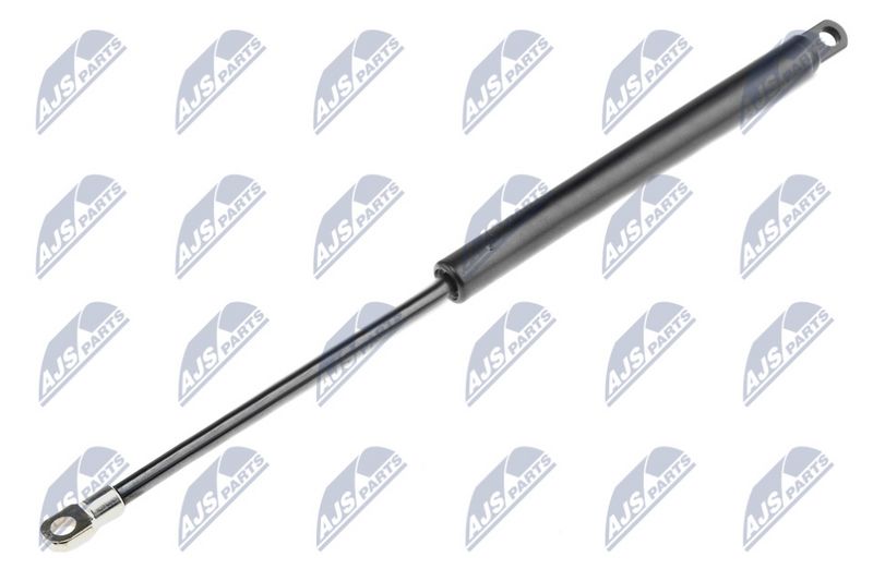 NTY AE-BM-000 Gas Spring, bonnet