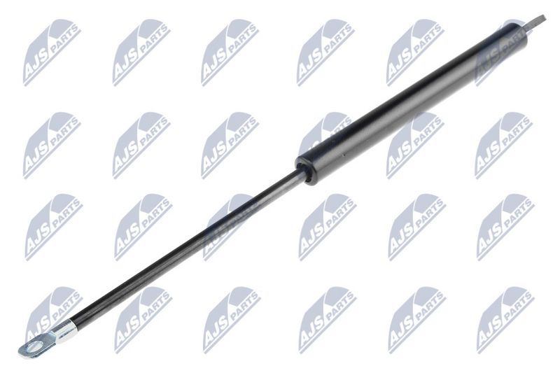 NTY AE-BM-004 Gas Spring, boot/cargo area