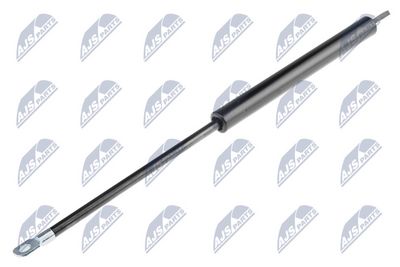 Gas Spring, boot/cargo area NTY AE-BM-004