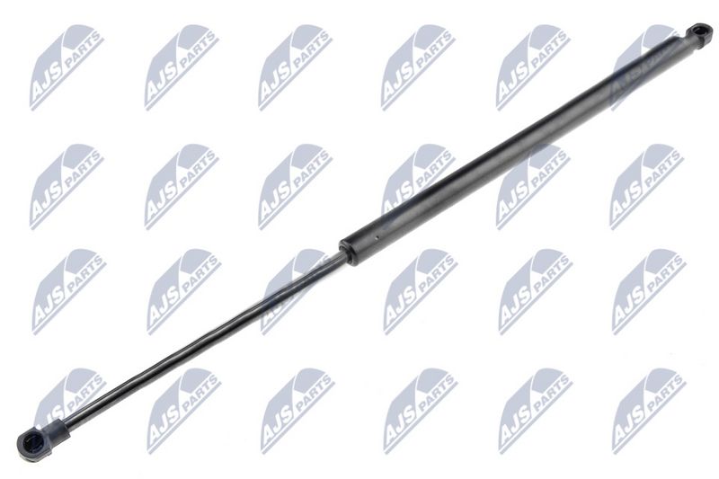 NTY AE-BM-007 Gas Spring, boot/cargo area