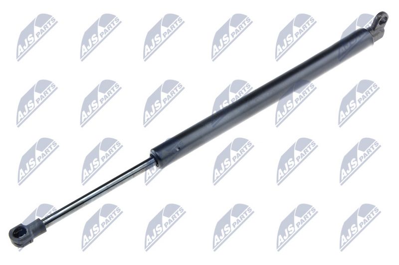 NTY AE-BM-010 Gas Spring, boot/cargo area