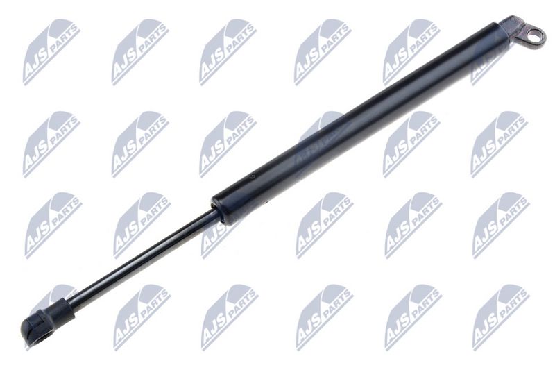NTY AE-BM-022 Gas Spring, boot/cargo area