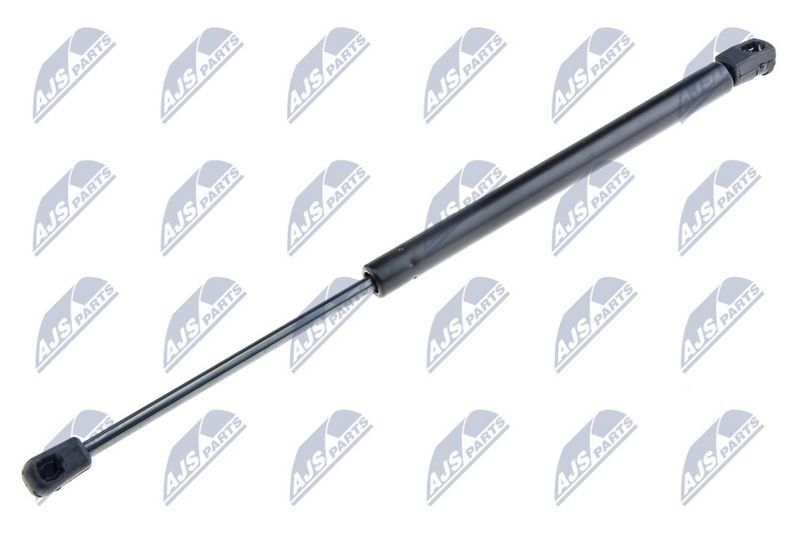 NTY AE-BM-024 Gas Spring, bonnet