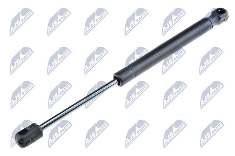 NTY AE-BM-050 Gas Spring, bonnet