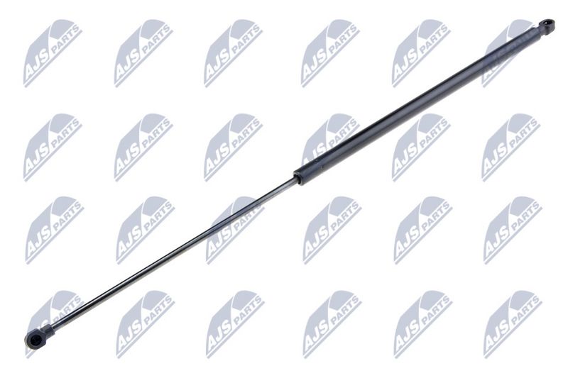 NTY AE-BM-058 Gas Spring, bonnet