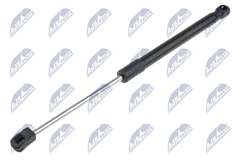 NTY AE-BM-064 Gas Spring, bonnet