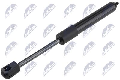 Gas Spring, bonnet NTY AE-BM-100