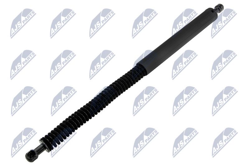 NTY AE-BM-108 Gas Spring, boot/cargo area