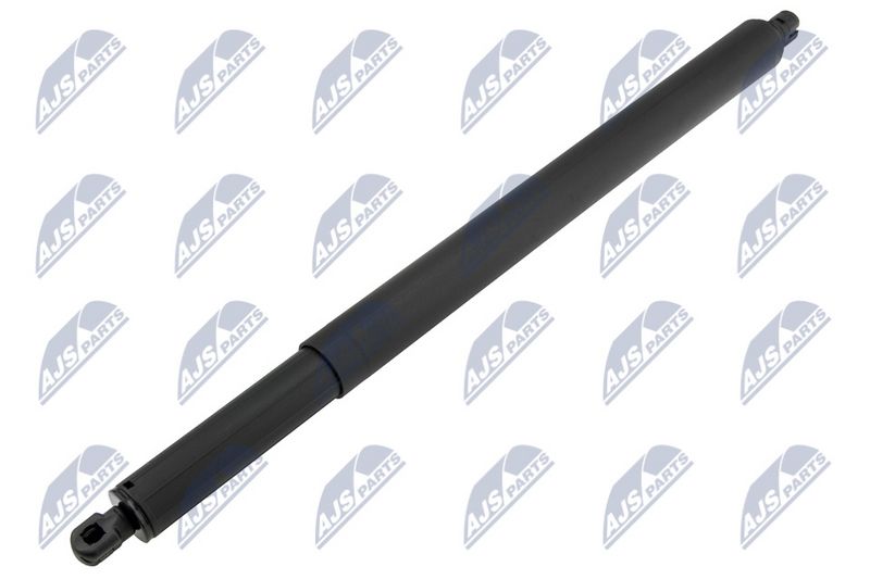 NTY AE-BM-111 Gas Spring, boot/cargo area