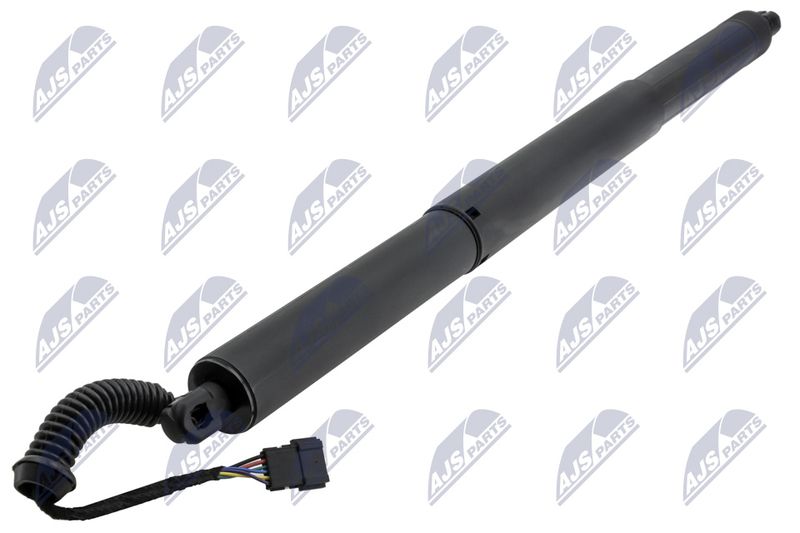 NTY AE-BM-119 Gas Spring, boot/cargo area